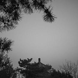 Switch Online版《马里奥64》并非《3D全明星》版游戏